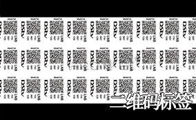 pp电子游戏A-1喷码平台一体机Technical Parameters